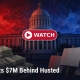 Fostoria News Musk's $7M behind Husted, Ohio Capitol background, money stacks, and newspaper.